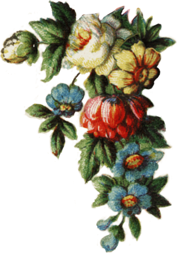decorative flowers